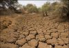 خشکسالی شدید و کاهش 73درصدی میزان بارندگی در استان یزد