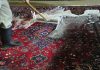 بازار گرمی قالیشویی های تقلبی در آستانه شب عید در یزد