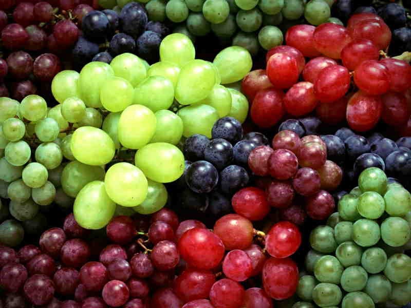انگور؛ 8 خاصیت شگفت انگیز انگور (Grape) برای سلامتی بدن