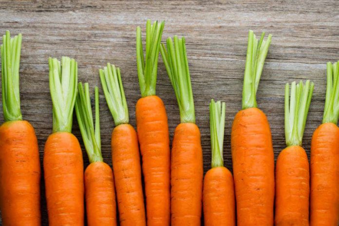 خواص هویج برای کاهش خطر سرطان