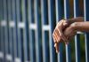 ۲۵۲ محکوم جرائم غیرعمد مالی در زندان‌های یزد در حبس به سر می برند