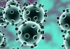 ویروس کرونا با ریه ها چه می کند که خطرناک است؟