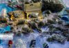 کشف ۲۱۵ کیلوگرم موادمخدر در یزد