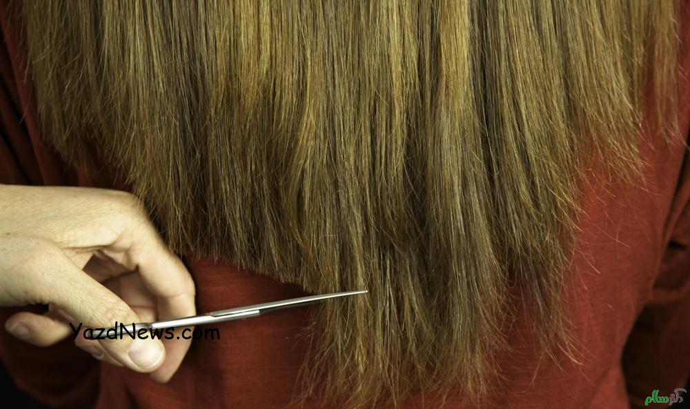 روش های خانگی برای درمان موهای خشک و نرم شدن موها